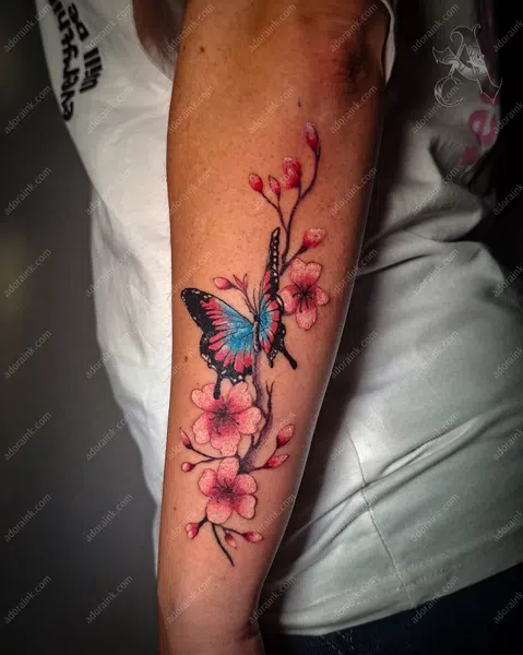 Color tattoo of Butterfly and Cherry Blossom Tattoo, Full color tattoo sleeve, Color tattoo aging and fading