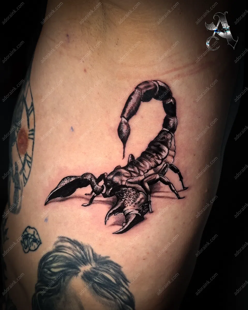 Negro y Gris tattoo of Tatuaje Realista de Escorpión, High contrast black and gray tattoo studio, Black and gray tattoo chest piece