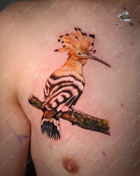 Realism tattoo of Hoopoe Tattoo, Booking consultation for realism tattoo, Realism tattoo portrait ideas